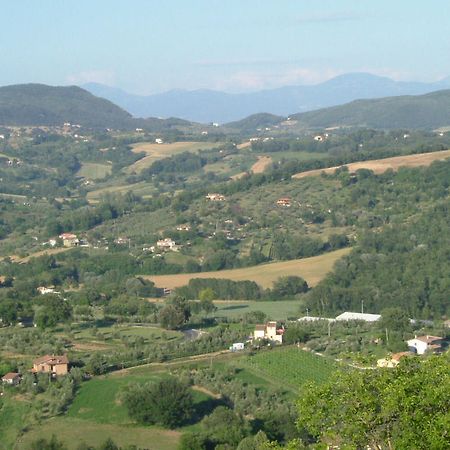 Agriturismo Poggio Della Rosa Amelia Zewnętrze zdjęcie