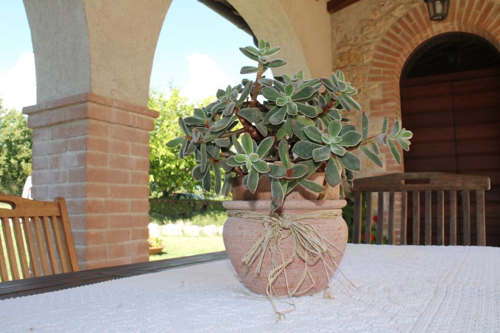 Agriturismo Poggio Della Rosa Amelia Zewnętrze zdjęcie